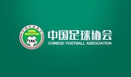 足协征集足协杯资格赛承办地:赛区应至少提供比赛场地6块及以上