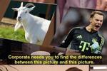 GOAT！拜仁官推晒梗图：诺伊尔=山羊?